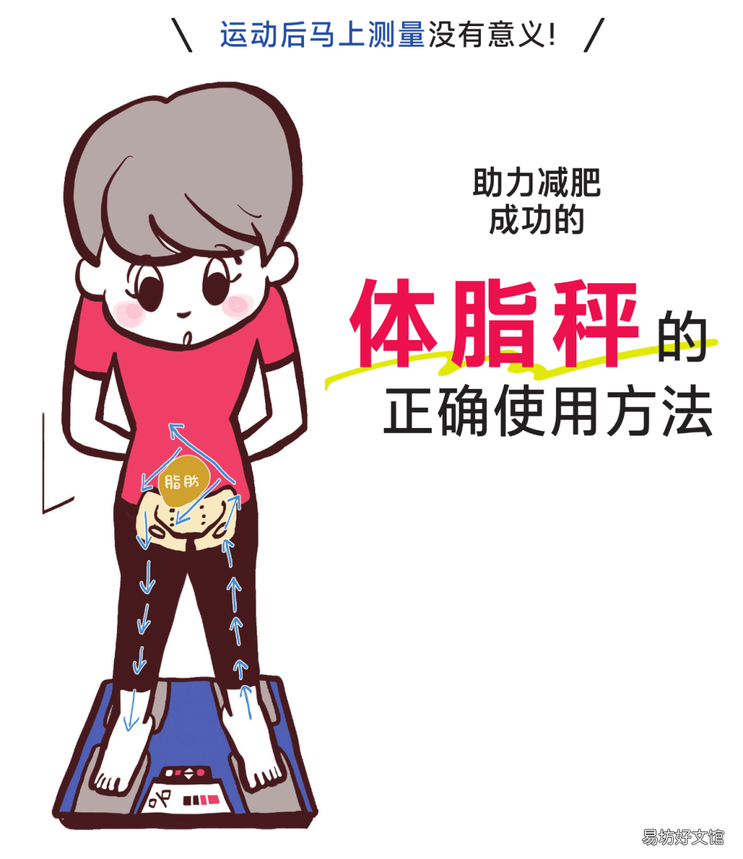 图解体脂秤使用全流程 小米体脂秤怎么使用