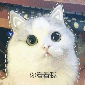 教你免费实现多开雷电模拟器 雷电模拟器多开怎么设置不卡