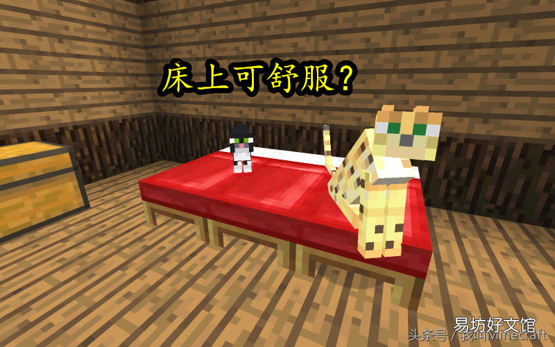 一文教你新手驯服豹猫最靠谱的方法 我的世界豹猫怎么驯服