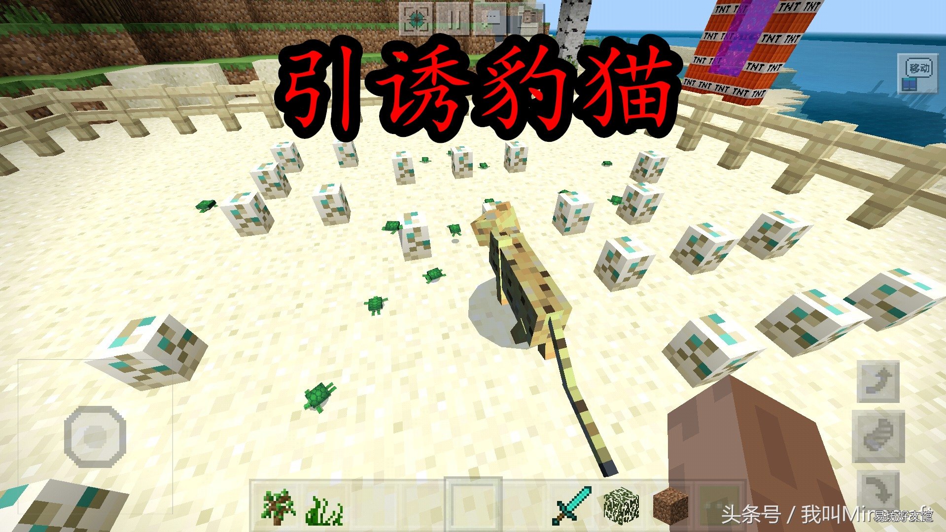 一文教你新手驯服豹猫最靠谱的方法 我的世界豹猫怎么驯服