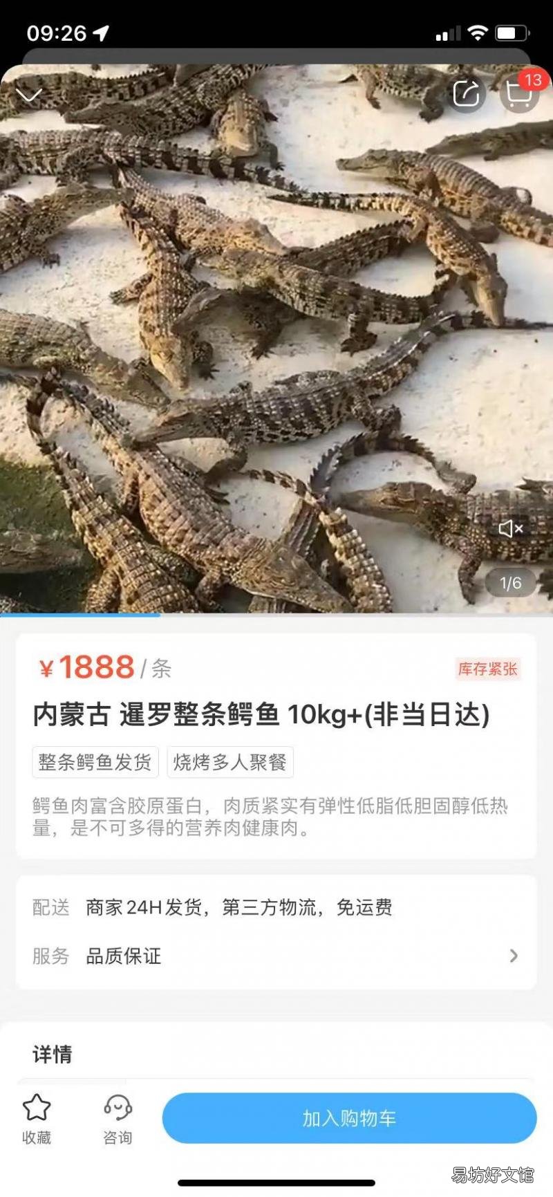 盒马回应所售鳄鱼被砍后复活