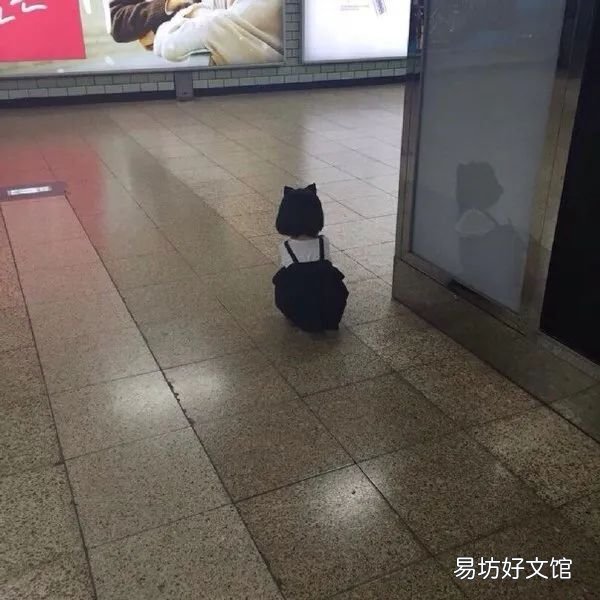 无聊时发朋友圈的句子和图片大全 适合发朋友圈的无聊图片