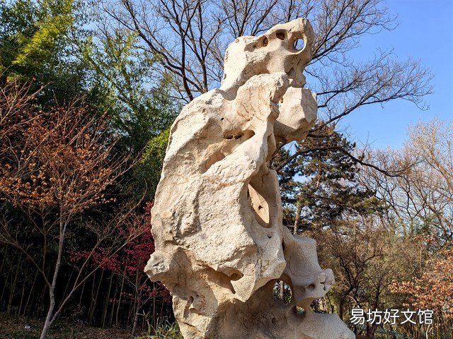 推荐四款公认拍照清晰的手机 拍照像素最高的手机是哪款