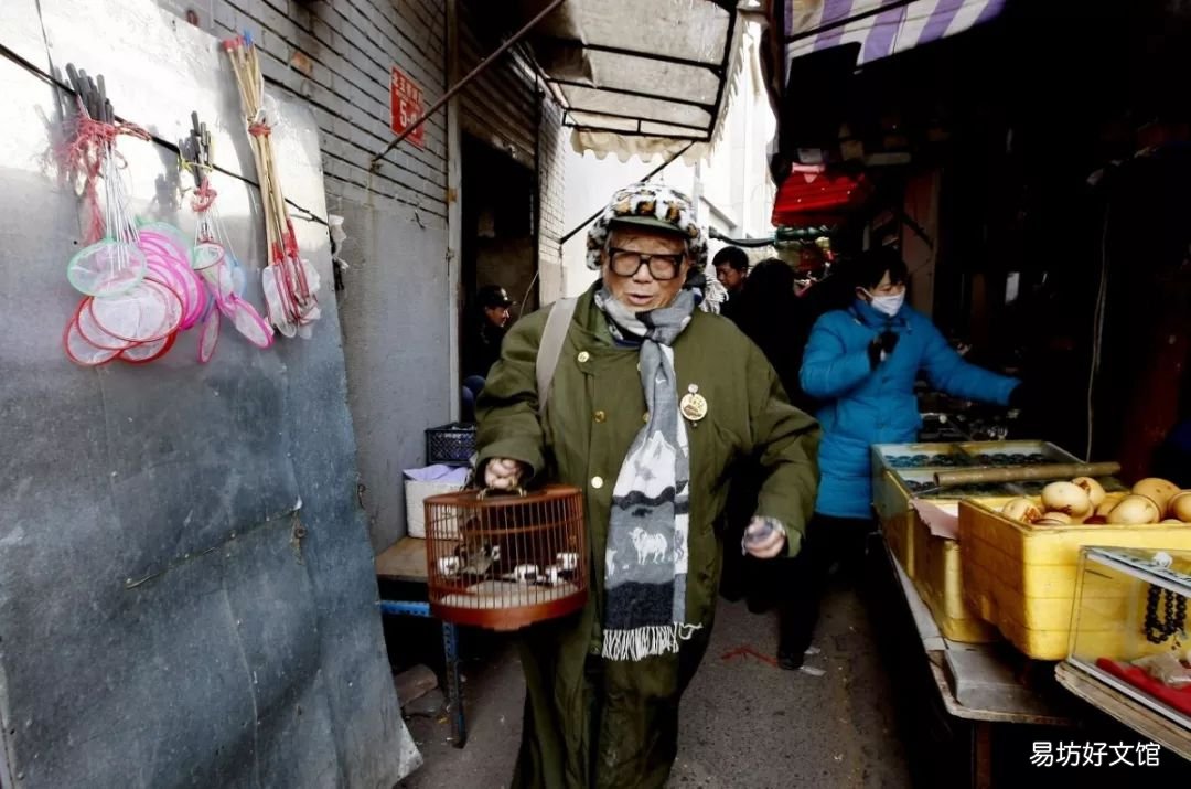 北京最大的猫狗宠物市场推荐 北京宠物市场地址在哪里