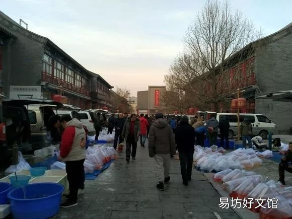 北京最大的猫狗宠物市场推荐 北京宠物市场地址在哪里