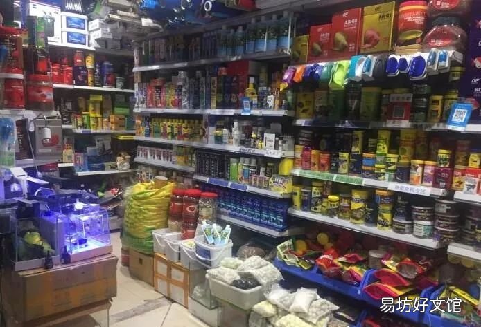 北京最大的猫狗宠物市场推荐 北京宠物市场地址在哪里