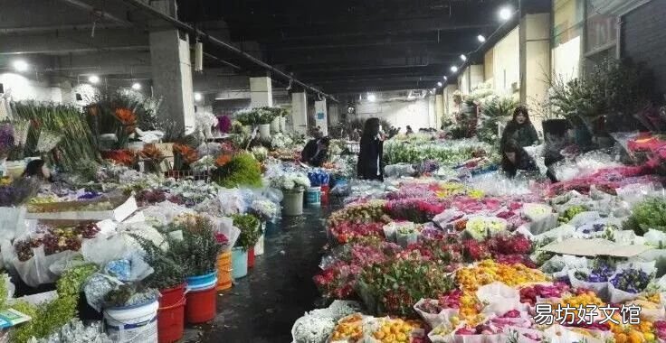 北京最大的猫狗宠物市场推荐 北京宠物市场地址在哪里