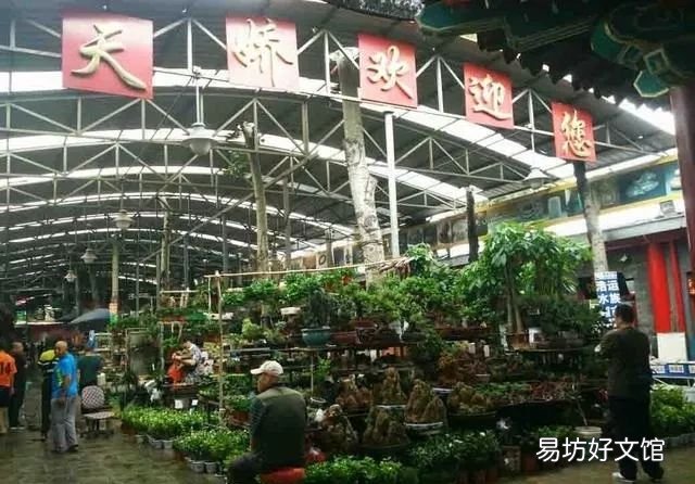 北京最大的猫狗宠物市场推荐 北京宠物市场地址在哪里