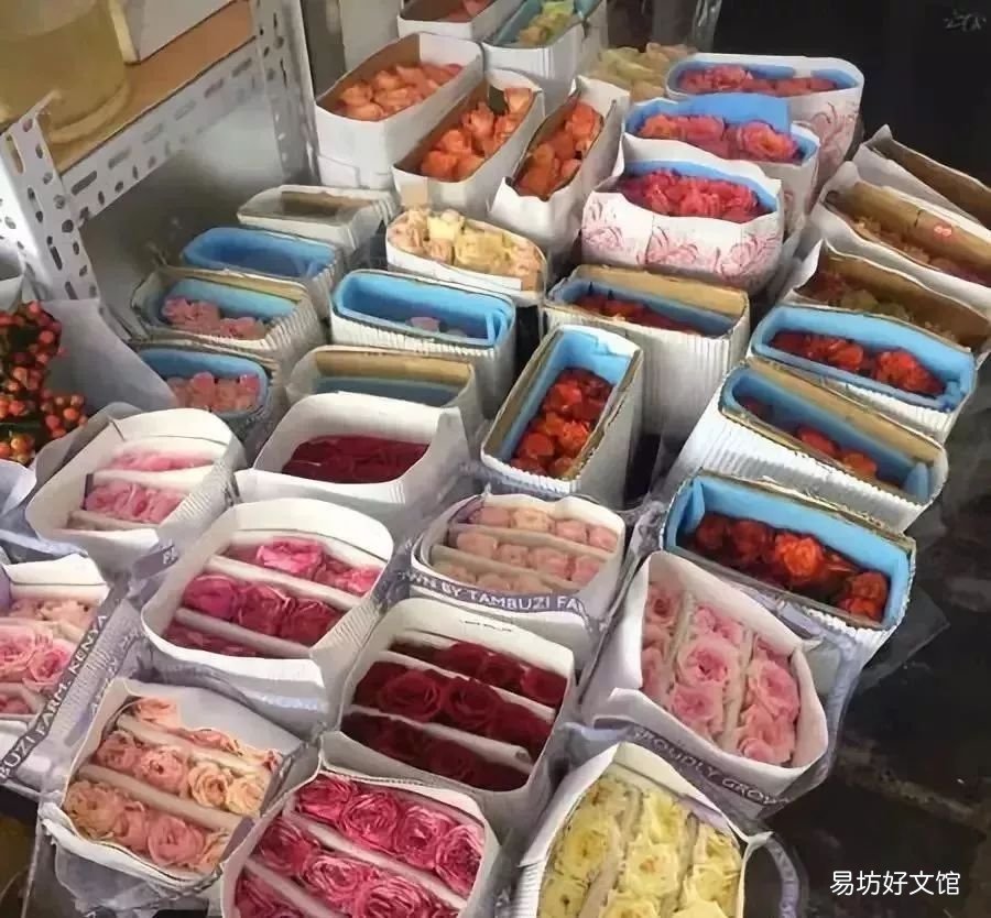 北京最大的猫狗宠物市场推荐 北京宠物市场地址在哪里