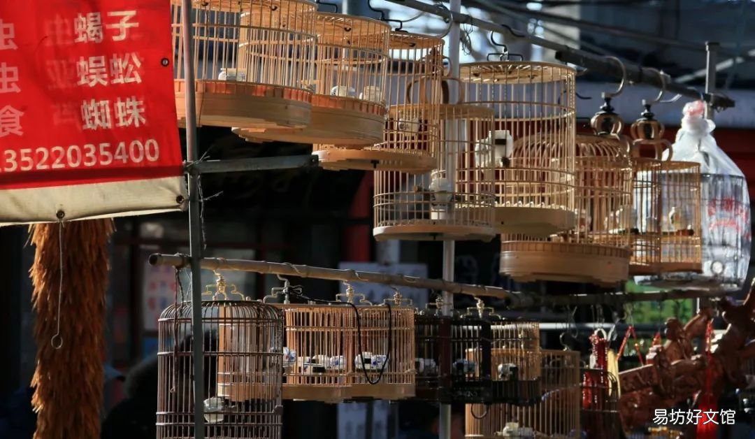 北京最大的猫狗宠物市场推荐 北京宠物市场地址在哪里