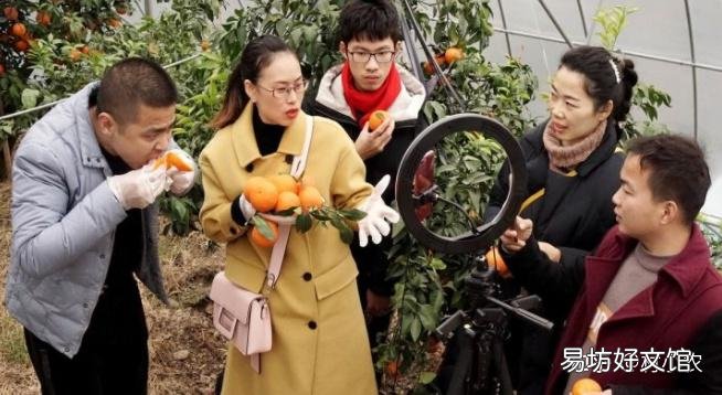 推荐12个农村致富好项目 现在农村创业有什么好做的