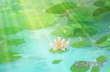 酸奶好还是纯牛奶好？孕妇该怎么选择