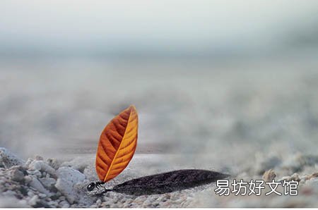 备孕,你“备”的到底是哪些