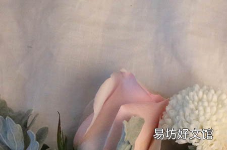 备孕,你“备”的到底是哪些