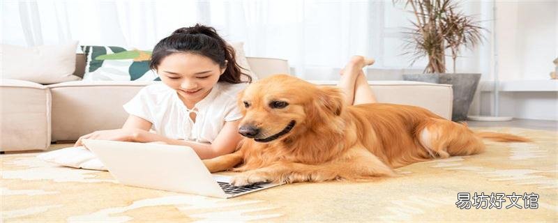 梦见狗主动亲近自己什么意思