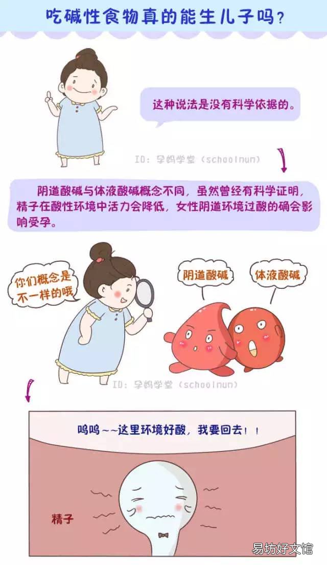 吃碱性食物真的能生儿子吗？