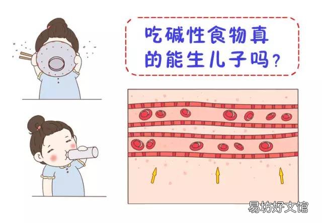 吃碱性食物真的能生儿子吗？