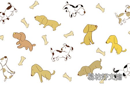 备孕二胎!小心是“葡萄胎”在作怪,其症状有哪些