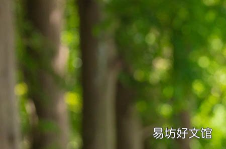 孕前半年起不能拍X光片?这条警告还要害多少人。