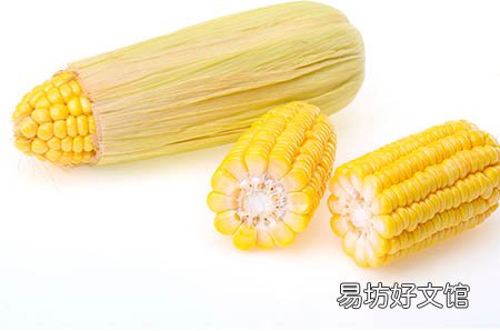 寒冷来袭!宫寒女性、卵泡长不大,该如何是好?