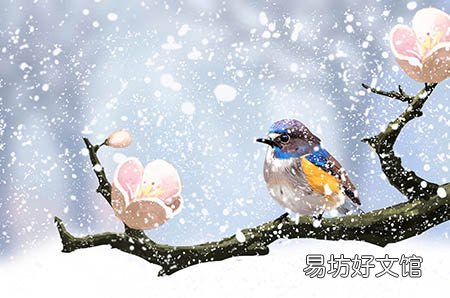 怀不上宝宝担心患不孕，或许这六步可以帮助你检测出结果