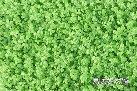 尿路感染的症状