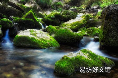 肛门湿疹对胎儿有影响吗