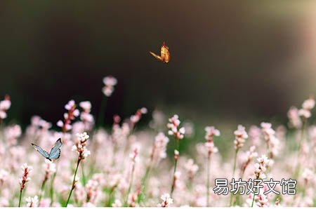 卵泡破了后的最佳受孕时间