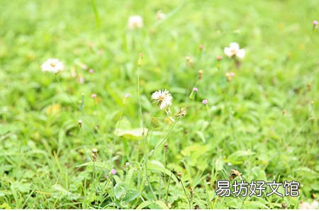 孕妇可以喝柠檬水吗