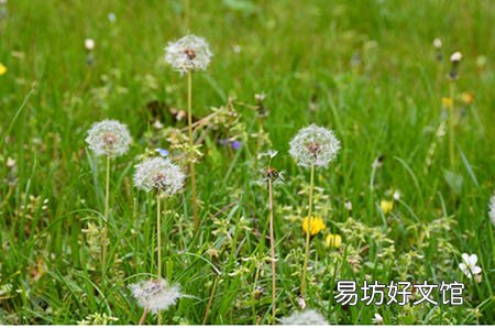 月经量少发黑的原因