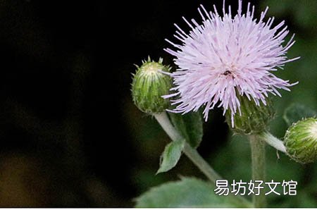 怀孕注意事项