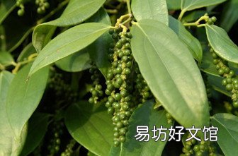 孕妇不能吃哪些食物和水果_孕妇不能吃哪些食物表