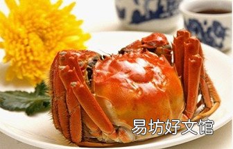 孕妇不能吃哪些食物和水果_孕妇不能吃哪些食物表