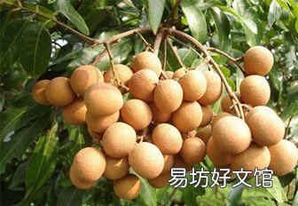 孕妇不能吃哪些食物和水果_孕妇不能吃哪些食物表