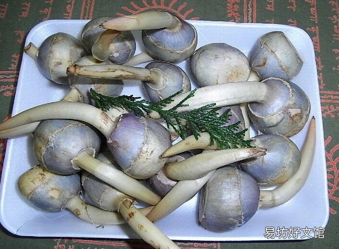 孕妇不能吃哪些食物和水果_孕妇不能吃哪些食物表