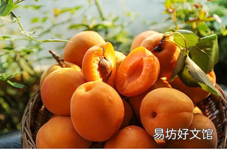 孩子要生了才知道自己怀孕了,这位妈妈也是没谁了!