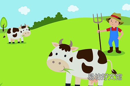 孕妇可以吃调料吗