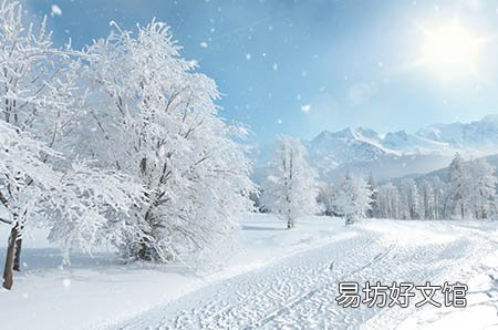 孕妇可以吃的海鲜有哪些