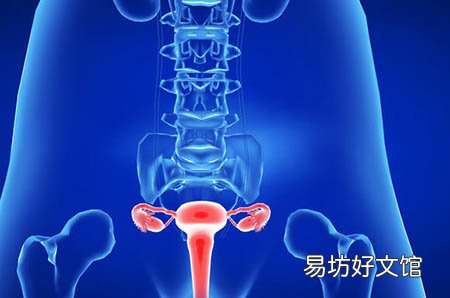 孕妇可以吃的海鲜有哪些