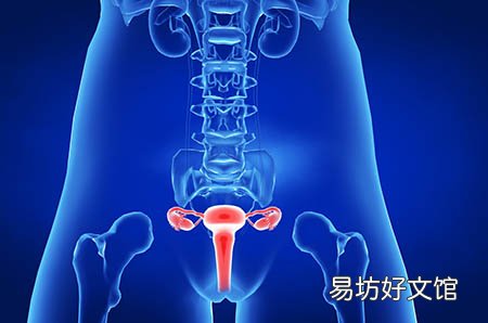 孕妇可以吃的海鲜有哪些
