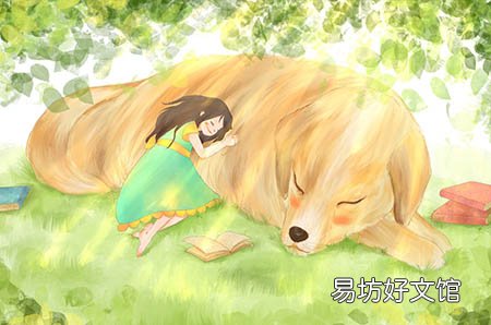胎盘能治什么病?