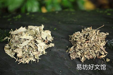 孕妇能用创可贴吗