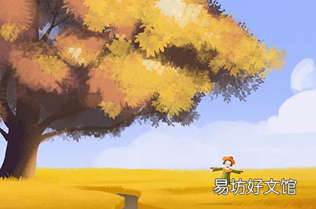 孕妇可不可以吃香菇香菇抗病降压益处多