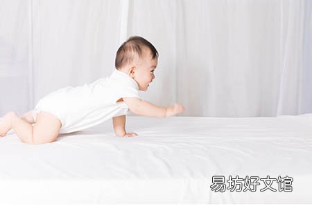 孕婦能吃南瓜嗎
