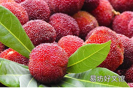 一张彩超单,你是否看得懂?