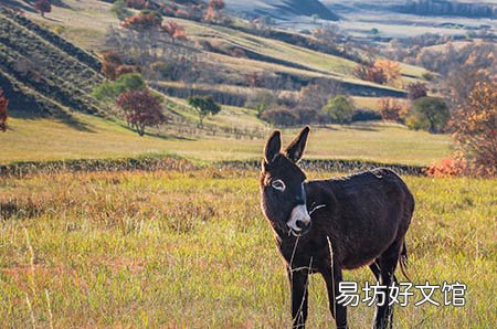 孕早期吸入雾霾对胎儿有影响吗 这些影响你都知道吗