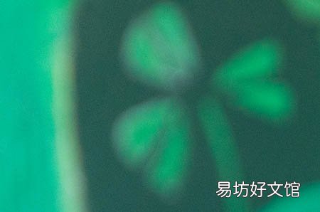 孕早期吸入雾霾对胎儿有影响吗 这些影响你都知道吗