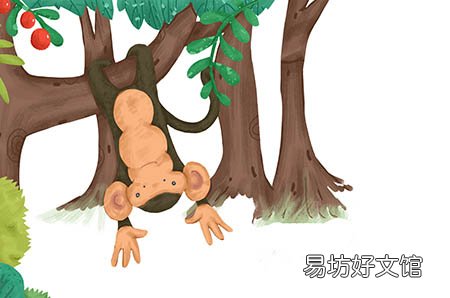 葡萄胎为什么要化疗