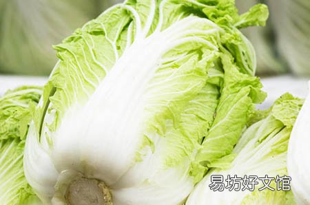 乳房胀痛吃什么药调理