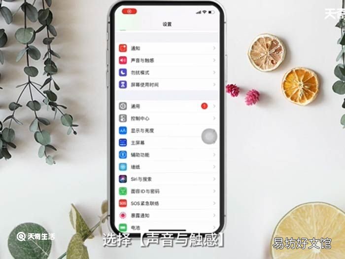苹果手机来电铃声小怎么调大 苹果手机来电铃声小操作方法